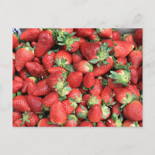 Carte Postale Photo Red Juicy Strawberries