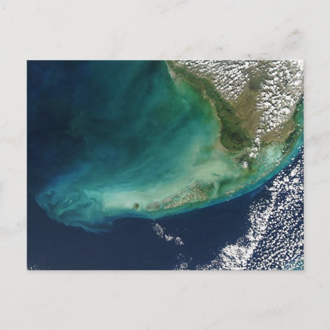 Carte Postale Photo satellite des Florida Keys (Devant)