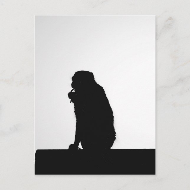 Carte Postale Photo silhouette du singe flottant (Devant)
