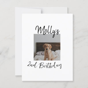 Carte Postale Photo simple moderne d'anniversaire d'animal de co