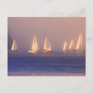 Carte Postale Photo Sunset Sailboats