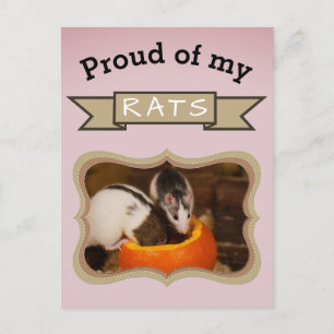 Carte Postale Photo sur mesure de Rat pour animaux de compagnie