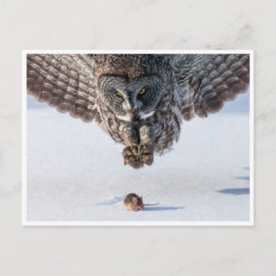 Carte postale photo vintage