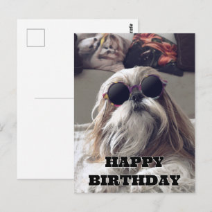 Carte Postale Photo vintage d'anniversaire de Shih Tzu cool aux 
