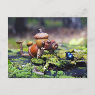 Carte Postale Photographe elfe de maïs avec insecte