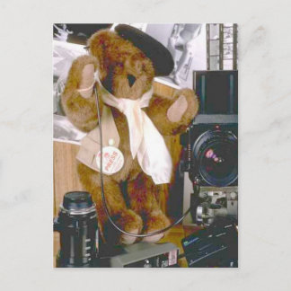 Carte Postale Photographe Ours - Journaliste de presse