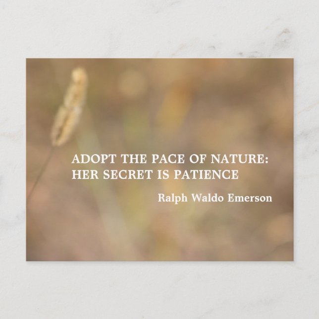 Carte Postale Photographie Art avec citation "Une touche de natu (Devant)