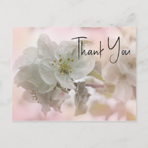 Carte Postale Photographie de Fleur de Pommier Blanc Merci