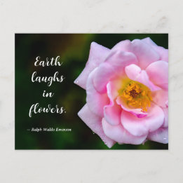 Carte Postale Photographie de fleur rose avec gouttes de rosée