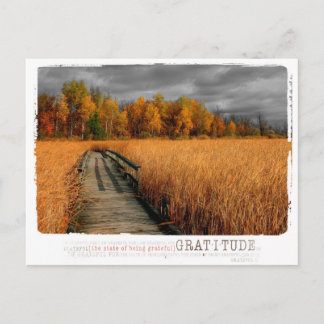 Carte Postale photographie de gratitude d'automne