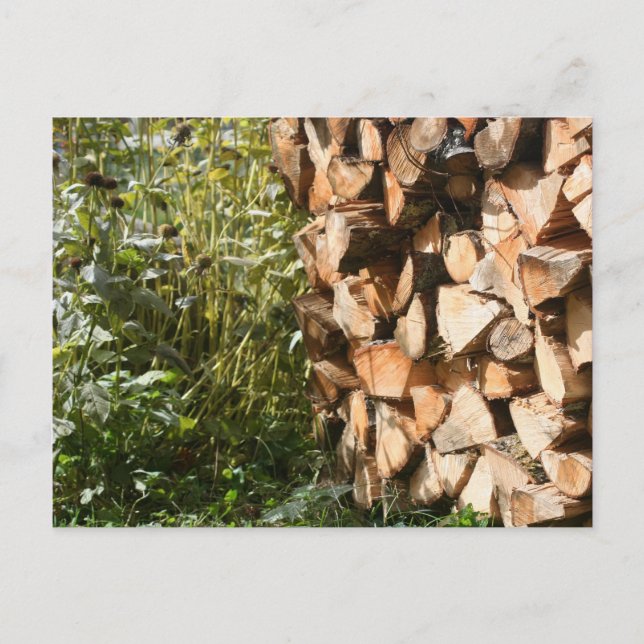 Carte postale Photographie de la nature en bois de (Devant)