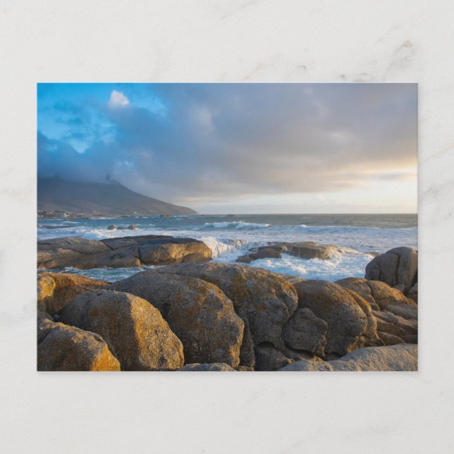 Carte Postale photographie de paysage de seashore (Devant)