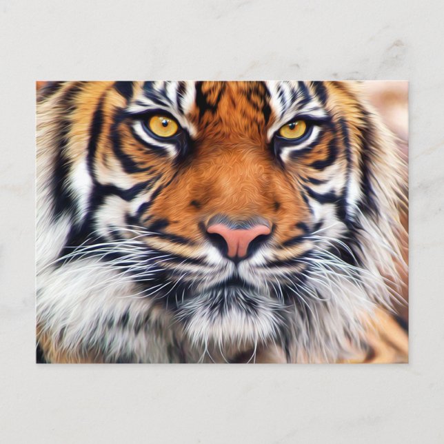 Carte Postale Photographie de Peinture de tigre de Sibérie (Devant)