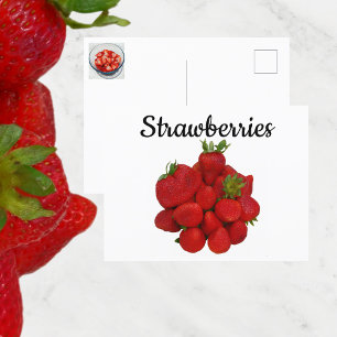 Carte Postale Photographie des fraises rouges