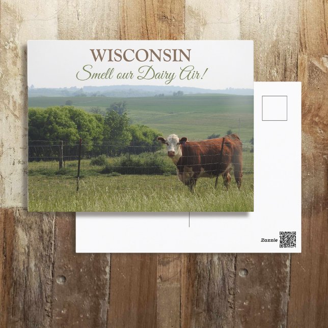 Carte Postale Photographie du Midwest | Belle vache et paysage (Créateur téléchargé)