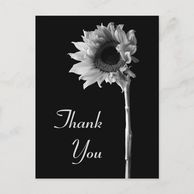 Carte Postale Photographie en noir et blanc de tournesol Merci (Devant)