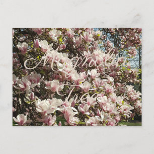 Carte Postale Photographie florale de l'arbre rose en fleurs Mag