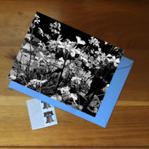 Photographie florale noir et blanc Fleurs de print