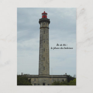 Carte Postale Photographie Île de Ré, France -