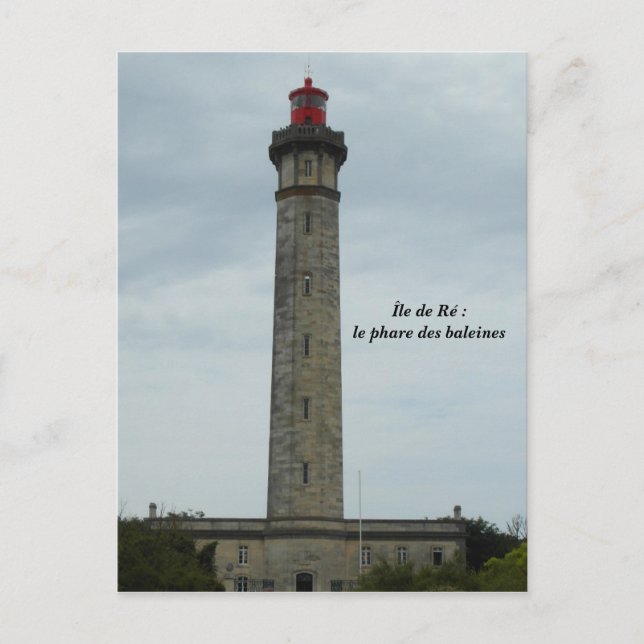 Carte Postale Photographie Île de Ré, France - (Devant)