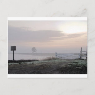 Carte Postale Photographies