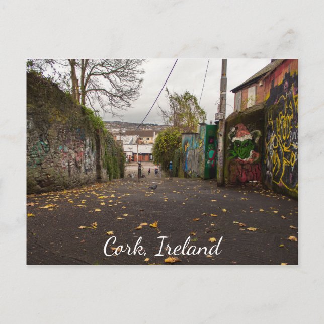 Carte postale Photographique Cork Ireland Street A (Devant)