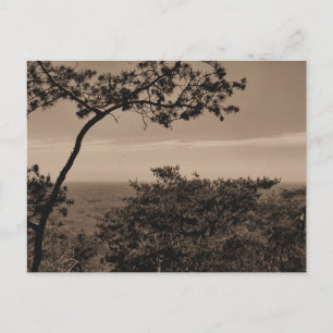 Carte postale photographique de paysage monochrome