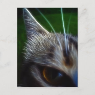 Carte Postale Photomanipulation de l'oeil du chat
