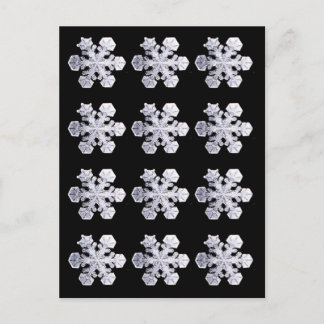 Carte Postale Photos en cristal de flocon de neige