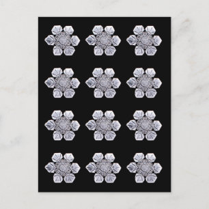 Carte Postale Photos en cristal de flocon de neige