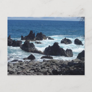 Carte Postale Photos Hawaiian Kine