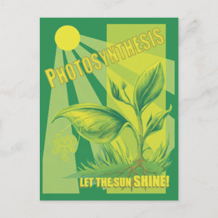 Carte Postale Photosynthèse