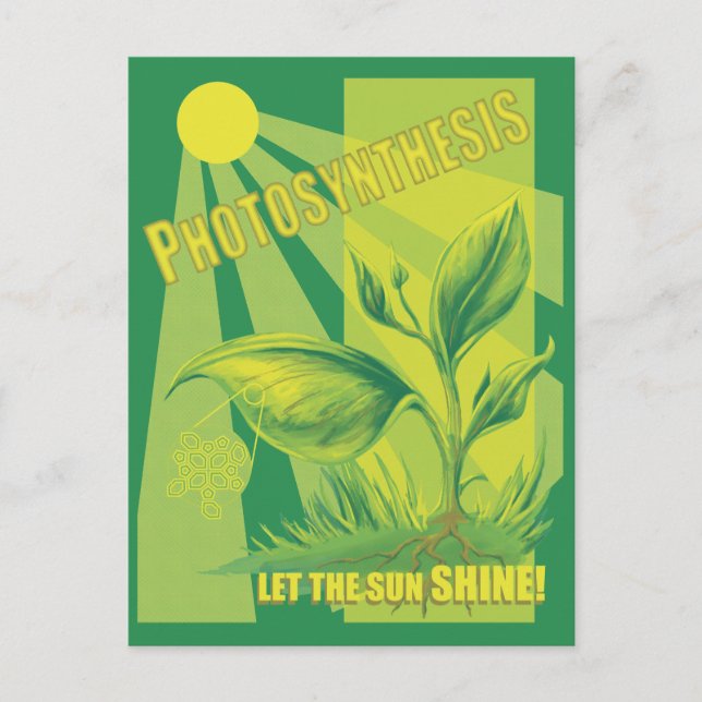 Carte Postale Photosynthèse (Devant)