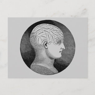 Carte Postale Phrenologie