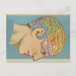 Carte Postale Phrenologie
