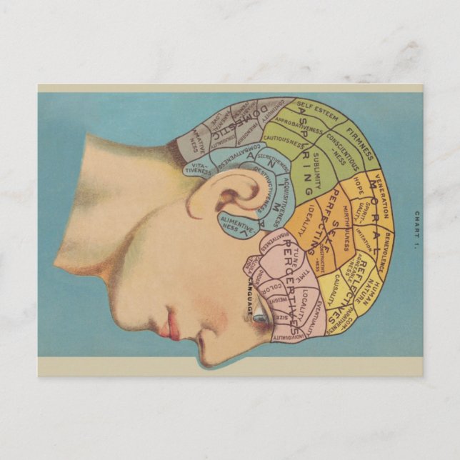 Carte Postale Phrenologie (Devant)