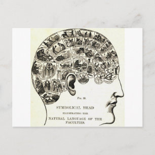 Carte Postale Phrenologie