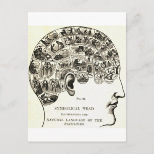 Carte Postale Phrenologie