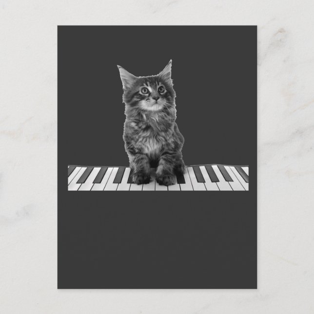 Carte Postale Piano chat chatte Pianiste Lecteur Clavier (Devant)
