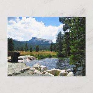 Carte Postale Pic cathédral à Tuolumne Meadows, Yosemite, CA