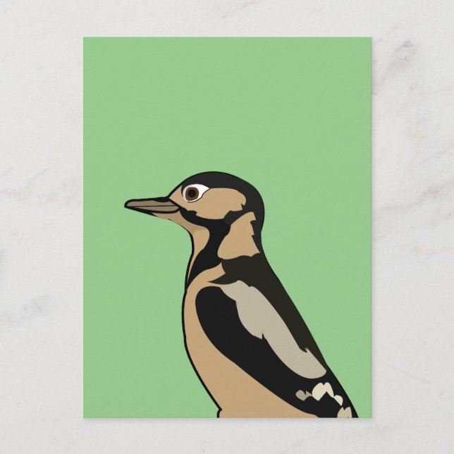 Carte Postale Pic-de-bois Oiseau Nature (Devant)