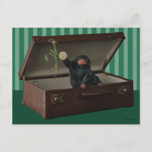 Carte Postale Pickett & Teddy dans Porte-documents