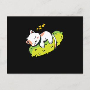 Carte Postale Picks Chat Concombre Gherkin Enfants