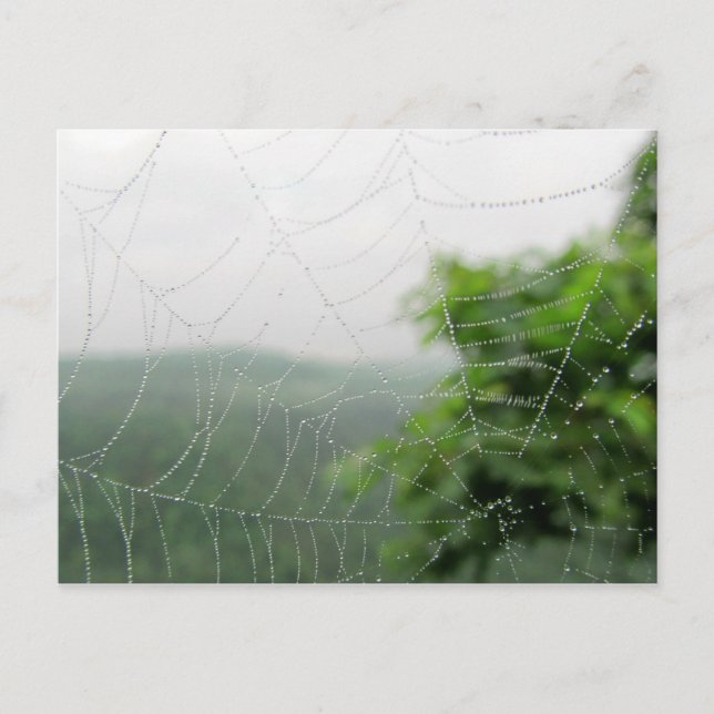 Carte Postale pics nature (Devant)