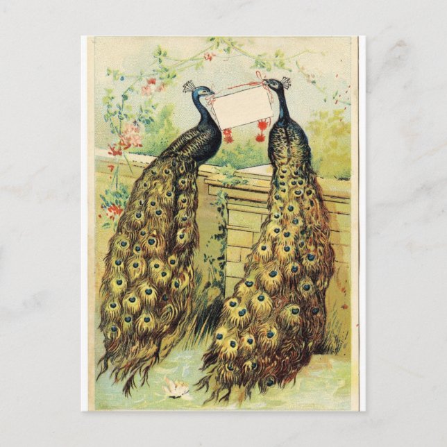 Carte Postale Pics vintages (Devant)
