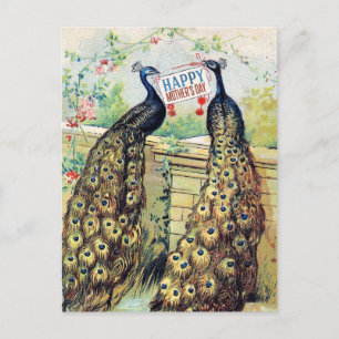 Carte Postale Pics vintages - Bonne fête des mères