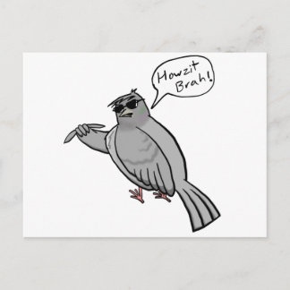 Carte postale Pidgin Pigeon