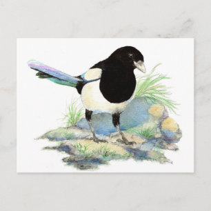 Carte Postale Pie mignonne - oiseau d'aquarelle