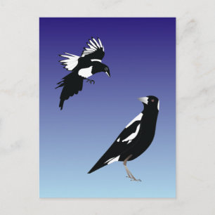 Carte Postale Pie noire sur arrière - plan bleu