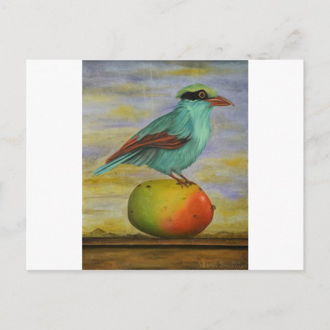 Carte Postale Pie Sur Un Mango (Devant)